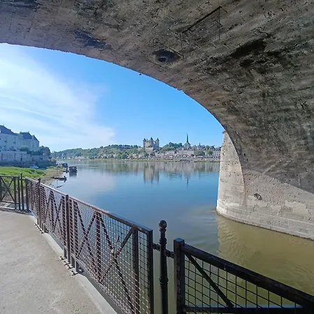 Vue Imprenable Sur La Loire !!! Сомюр