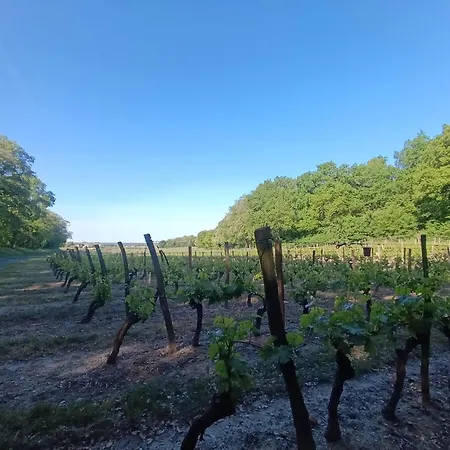 Vue Imprenable Sur La Loire !!! * 쏘뮤흐